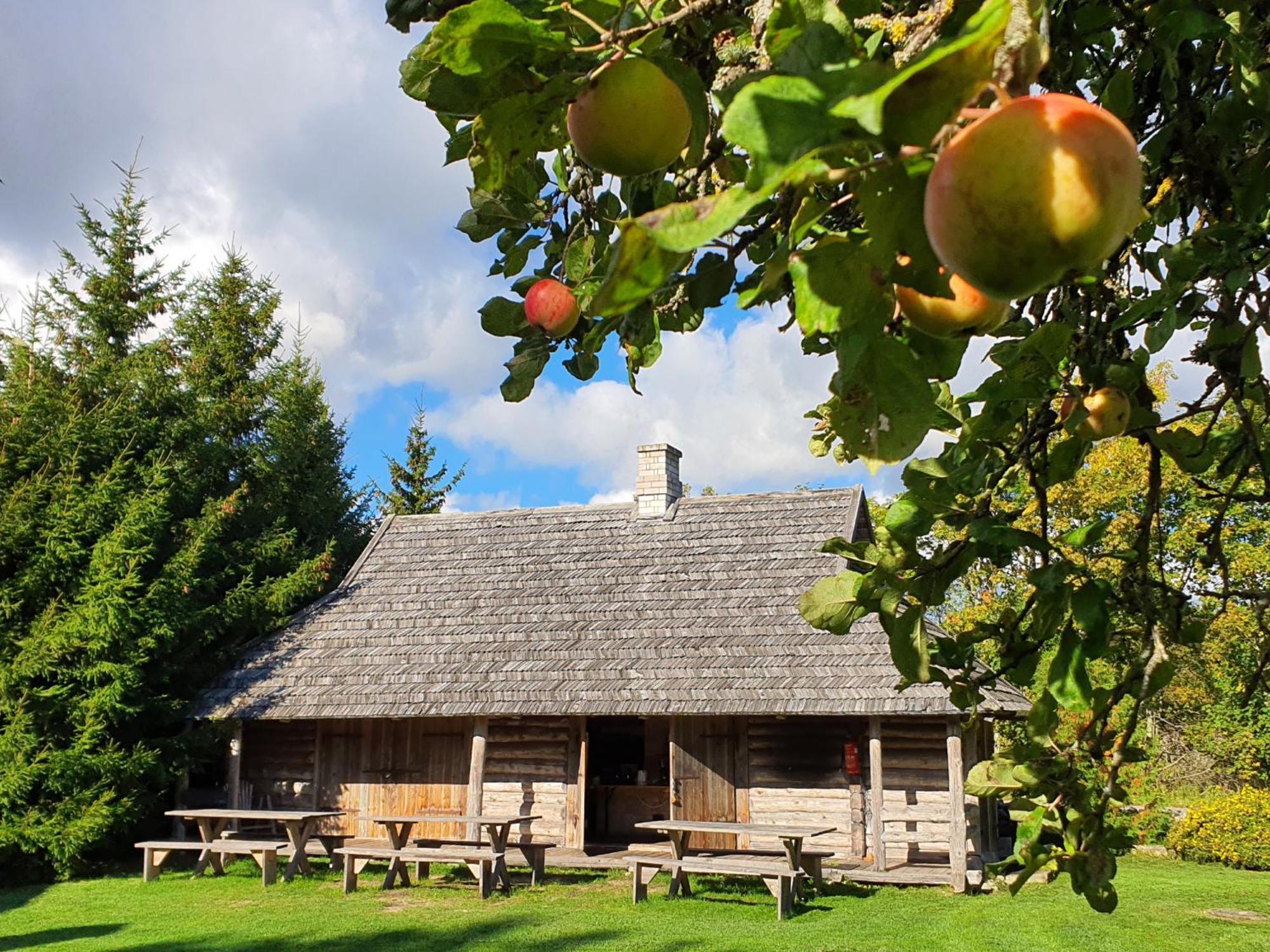 Anni Tourism Farm Villa Tammese Luaran gambar